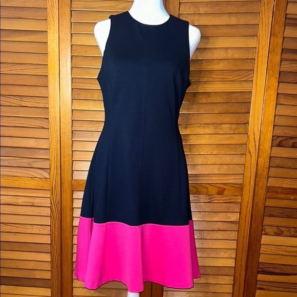 Gorgeous Eliza J. Deep Navy and Hot Pink Dress Size 4 - Picture 2 of 10